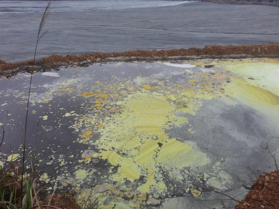 任南琪：用生物技术实现废水资源化